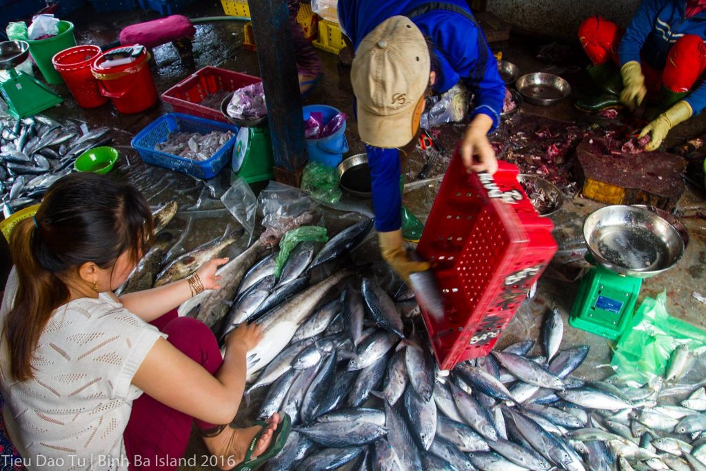 Chợ hải sản trên đảo Bình Ba