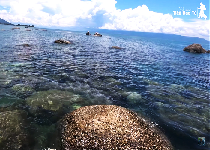 Bãi đá san hô với nhiều hàu bám vào