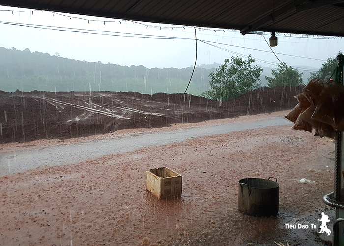 Mưa trôi cả bầu trời nắng