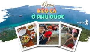 kéo lưới bắt cá