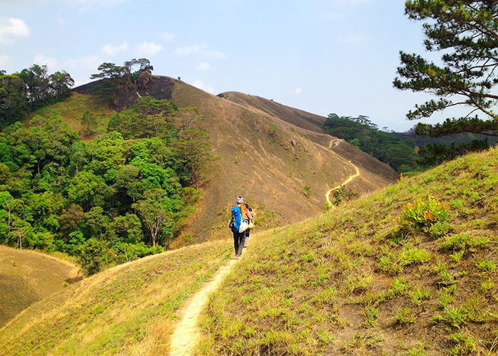 Cung đường Trekking Tà Năng - Phan Dũng luôn hấp dẫn với các bạn trẻ