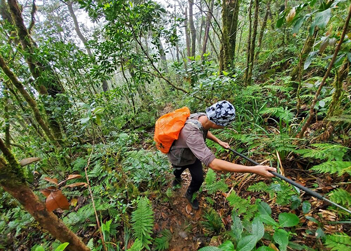 Cung đường Trekking Bidoup sẽ có những đoạn dốc cao 