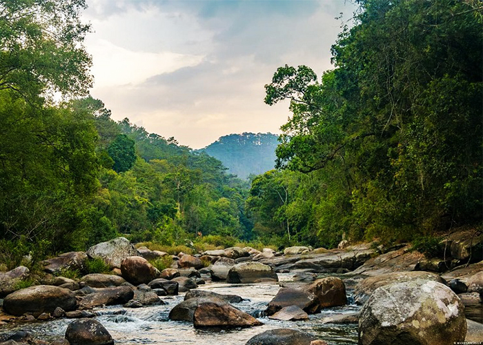 Cung đường Trekking Chư Yang Sin có nhiều suối đá 