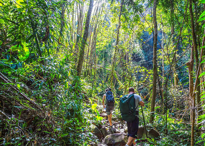Cung đuòng Trekking Nam Cát Tiên băng qua các cánh rừng nguyên sinh