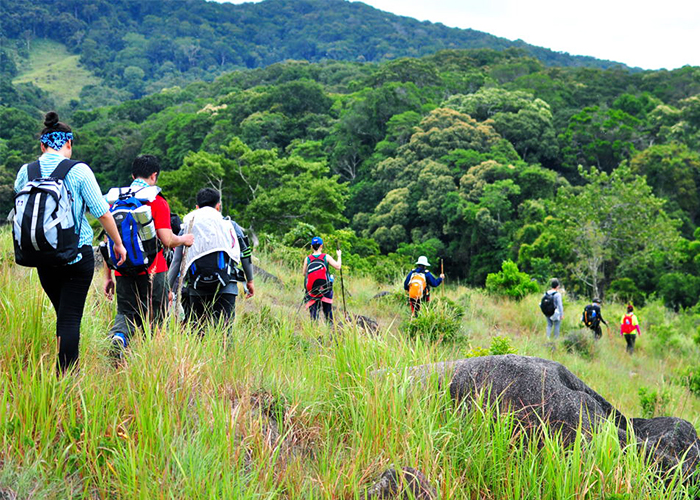 Cung đường Trekking Núi Chúa xanh rì