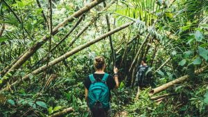 cách xác định phương hướng khi đi rừng