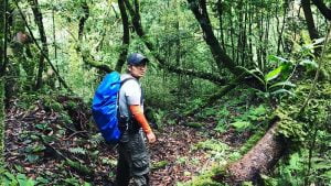 Kỹ năng sinh tồn khi đi rừng