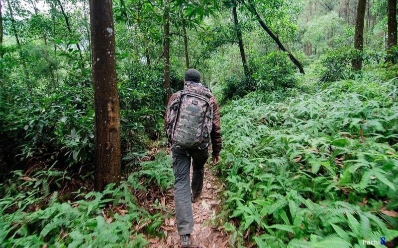 Cách để phòng tránh con vật cắn khi đi thám hiểm trên rừng hay xuống biển mà bạn cần bỏ túi 1 Thiet ke khong ten 2021 08 05T160606.601