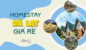 homestay giá rẻ ở đà lạt