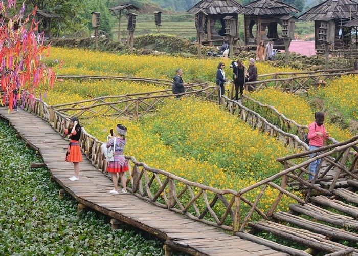   Bản Cát Cát Sapa  