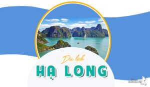 Review Du Lịch Hạ Long: Đến Hạ Long Thì Nên Đi Đâu, Ăn Gì? 6 du lịch hạ long