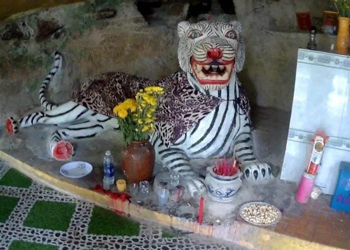 Ông cọp - Câu chuyện huyền bí tại vùng Thất Sơn