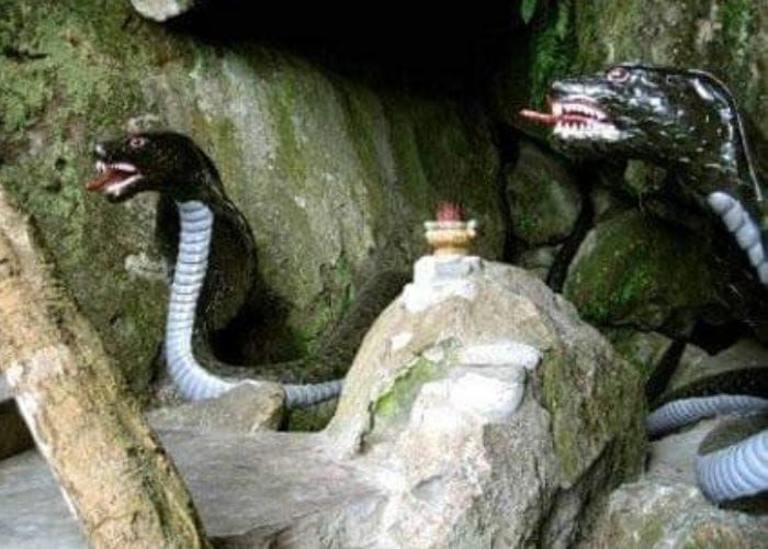 Mãng xã vương - Câu chuyện huyền bí tại vùng Thất Sơn