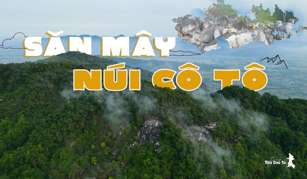 LẦN ĐẦU SĂN MÂY TRÊN ĐỈNH NÚI CÔ TÔ CỰC HẤP DẪN 1 Săn mây trên đỉnh núi Cô Tô