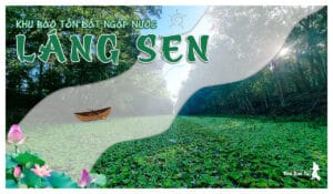 Khu bảo tồn đất ngập nước Láng Sen