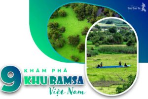 9 KHU RAMSAR Ở VIỆT NAM VÀ NHỮNG ĐIỀU CHƯA BIẾT 3 khu ramsa ở việt nam,