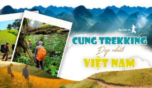 Top 10 Cung Đường Trekking Đẹp Nhất Việt Nam 4 cung trekking đẹp nhất việt nam