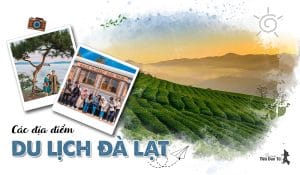 Gợi ý các địa điểm du lịch Đà Lạt chưa bao giờ hết hot 1 Gợi ý các địa điểm du lịch Đà Lạt