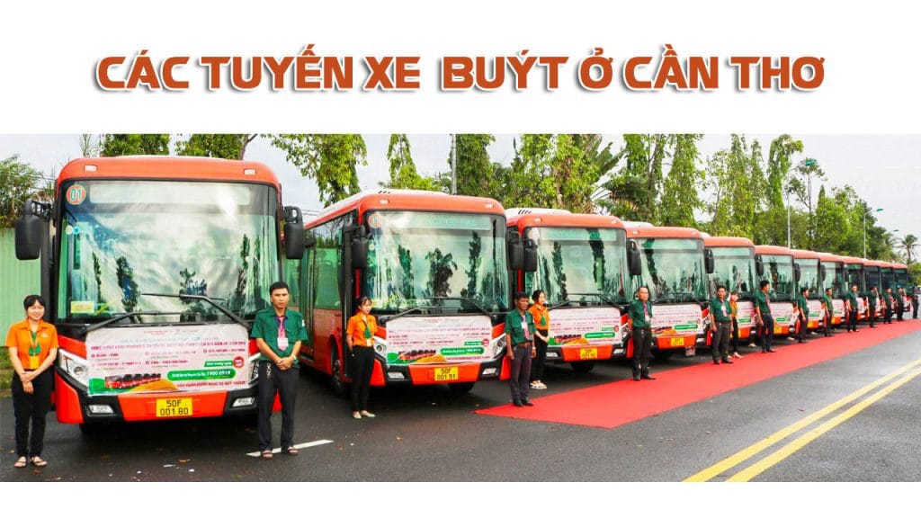 Lộ trình các tuyến xe buýt ở Cần Thơ chi tiết và mới nhất 2025 2 Các tuyến xe buýt ở Cần Thơ có tổng cộng 10 tuyến nội thành và 9 tuyến liên tỉnh đang còn hoạt động