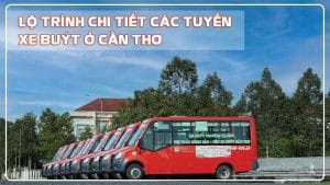 Lộ trình các tuyến xe buýt ở Cần Thơ chi tiết và đầy đủ nhất