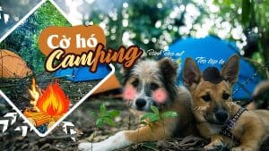 Khu Rung Bi An Can Tho