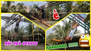 lang sinh thai ong de