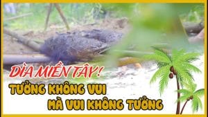 ve mien tay kham pha am thuc