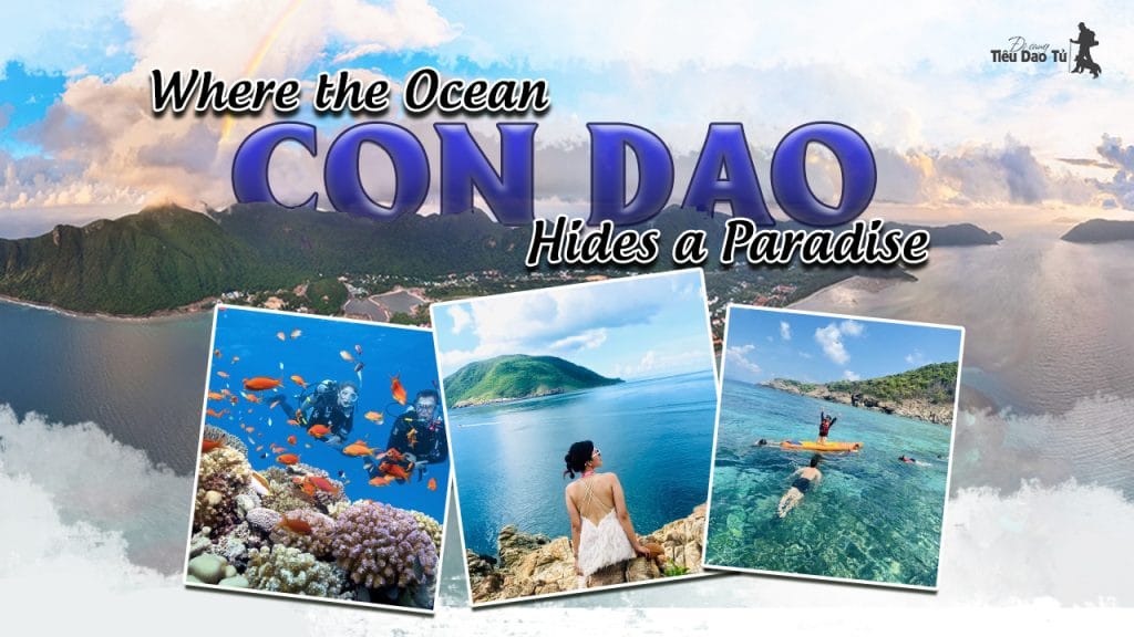 Detailed Con Dao Travel Experience Sharing for First-Time Travelers