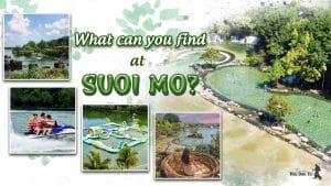 Suoi Mo Tourist Area in Dong Nai