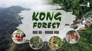 Kong Forest Adventure Park