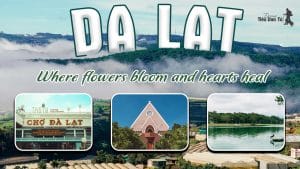 Top Da Lat Destinations: Forever Trending Travel Ideas