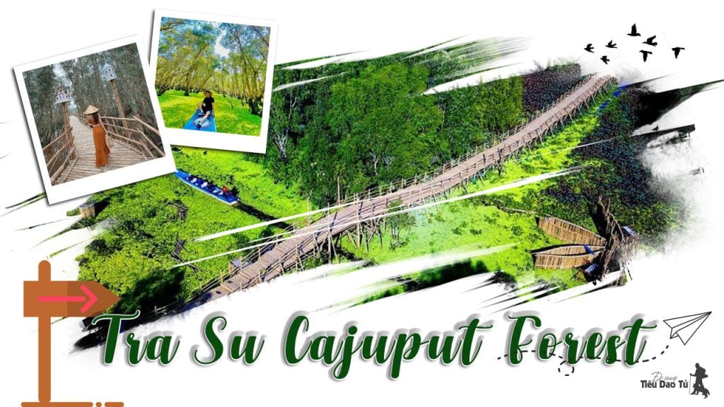 Tra Su Cajuput Forest in An Giang