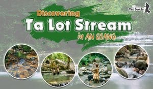 Discovering Ta Lot Stream in An Giang
