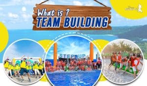 What is Team Building? Everything You Need to Know About Team Building